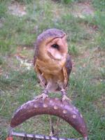 Frenštát pod Radhoštěm