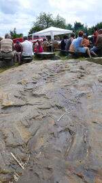 Mikroregion BOJKOVSKO